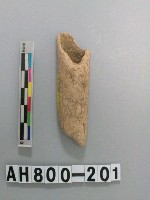 藏品(獸骨殘骸)的圖片